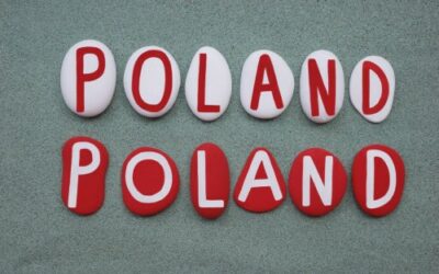 Czym jest Demokracja Bezpośrednia w wydaniu szwajcarskim i dlaczego takie rozwiązanie jest dla Polski najlepszym wyjściem?